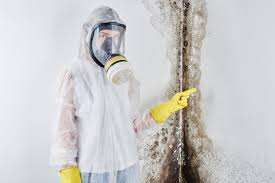 Why You Should Choose Our Mold Remediation Services in Newport, SC